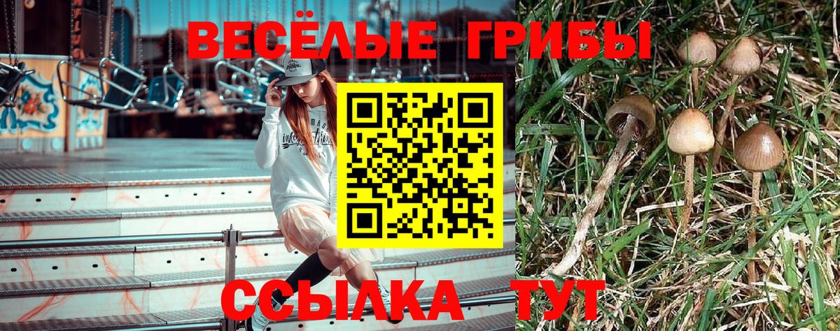 Галлюциногенные грибы MAGIC MUSHROOMS  Псилоцибиновые грибы прущие грибы  Вход с VPN  Тара 